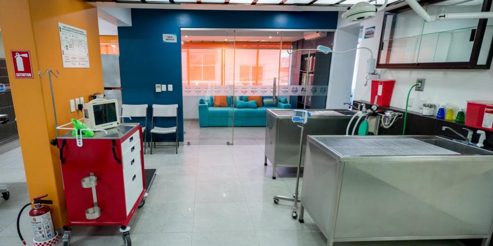 Hospital Veterinario Especialidades 