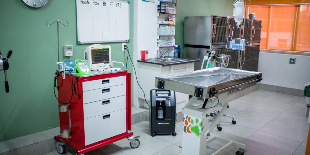 Instalaciones Veterinaria Zihuatanejo 