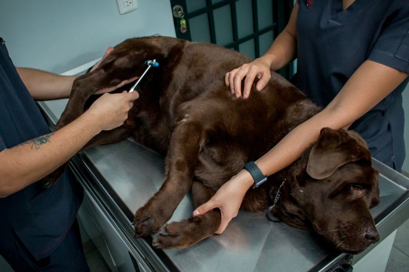 Rehabilitación Rehabilitación