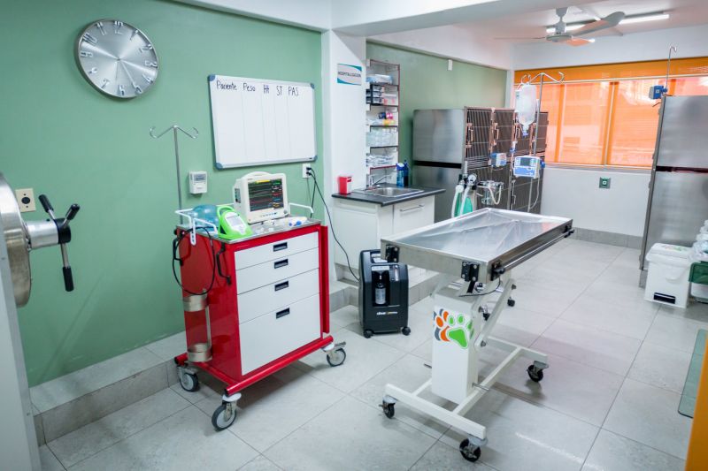 Terapia intensiva y Urgencias diurnas